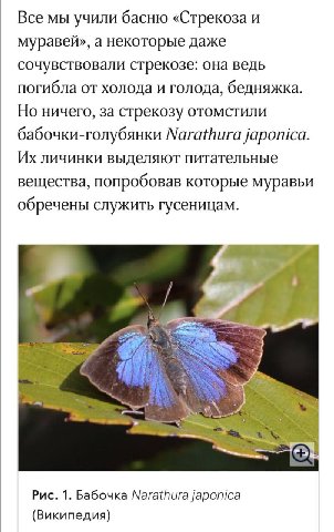 на личинке верчение