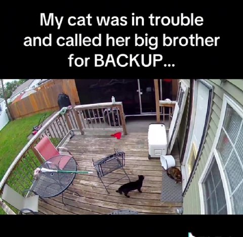 and called her big brother Discover more creators