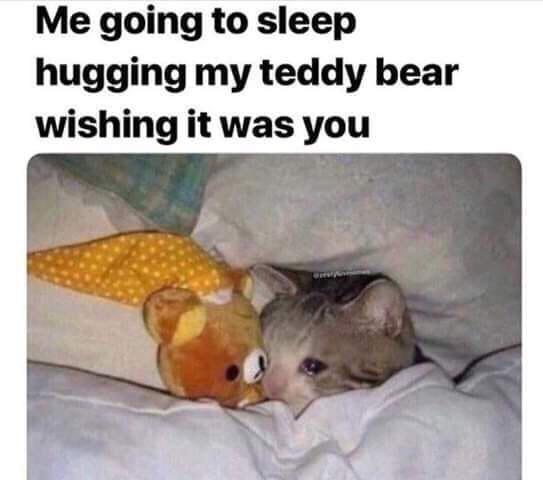 Me going to sleep hugging my teddy bear wishing it was you