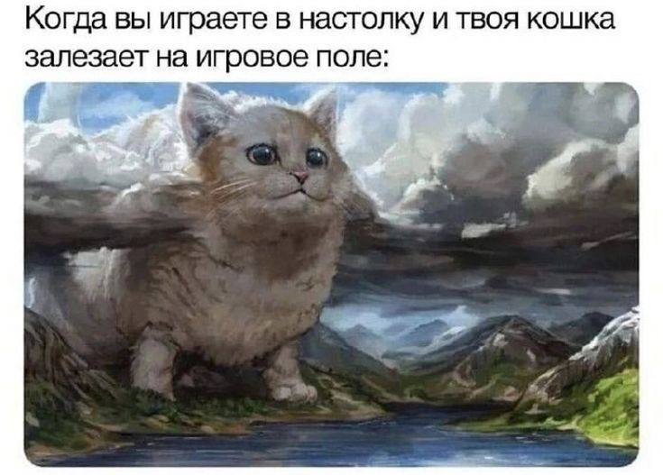 Когда вы играете в настолку и твоя кошка залезает на игровое поле: