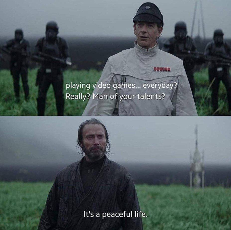 playing video games... everyday? Really? Man of your talents? It's a peaceful life.