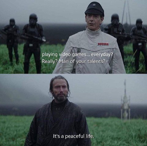 playing video games... everyday? Really? Man of your talents? It's a peaceful life.