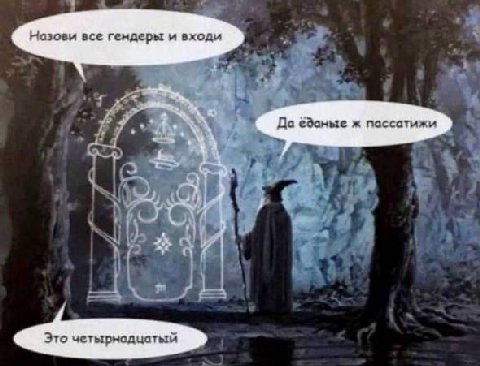 мой гендер