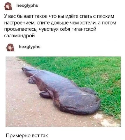 hexglyphs У Bac бывает такое что вы идёте спать с плохим настроением, спите дольше чем хотели, а потом просыпаетесь, чувствуя себя гигантской саламандрой hexglyphs Примерно вот так