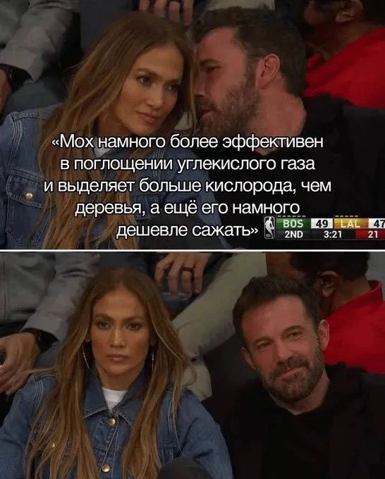 «Мох намного более эффективен в поглощении углекислого газа и выделяет больше кислорода, чем деревья, а ещё его намного Bos дешевле сажать» 3:21