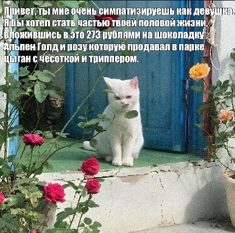 ‚Привет, ты мне очень симпатизируешь как вушка хотел стать частью твоей половой В ЭТО 273 рублями на шоколадку Me rong ирозу продавал в парке ыган счесоткой и триппером. A a AS i 5 55 is