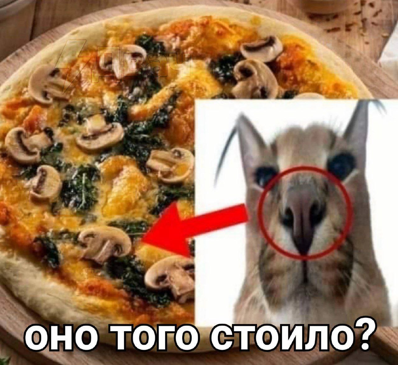 OHO того стоило?