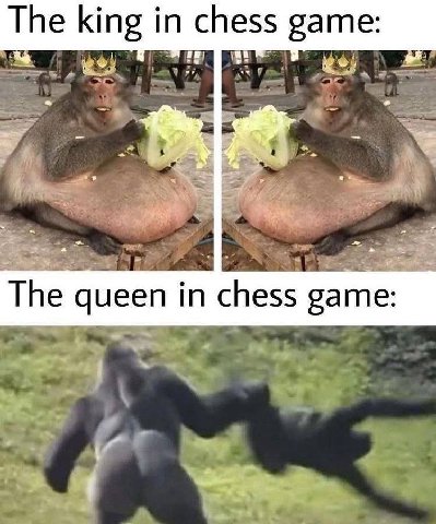 The king in chess game: The queen in chess game: