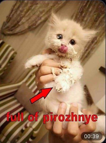 ozhnye 00:3
