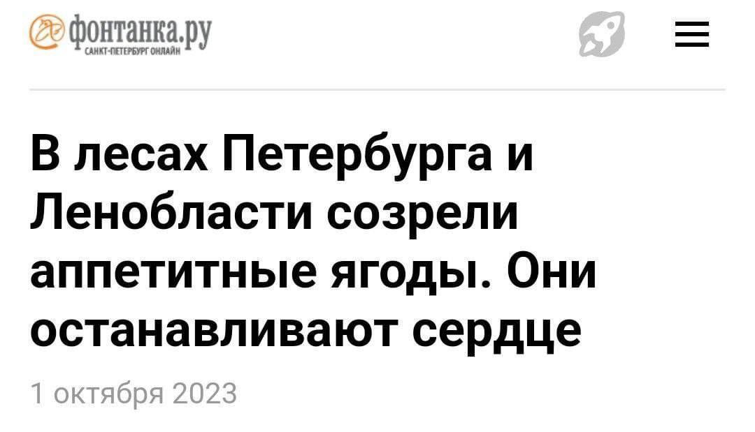 В лесах Петербурга и Ленобласти созрели аппетитные ягоды. Они останавливают сердце