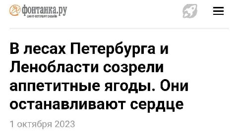 В лесах Петербурга и Ленобласти созрели аппетитные ягоды. Они останавливают сердце