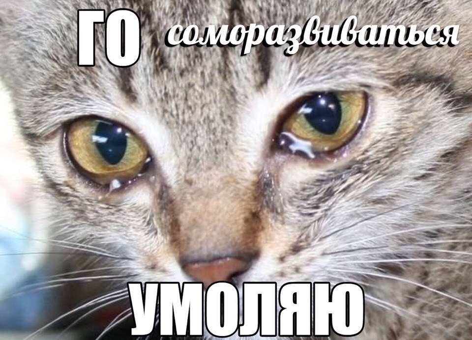 сомора 2 4 a of 5. ‘4 и 2% tLe “he i