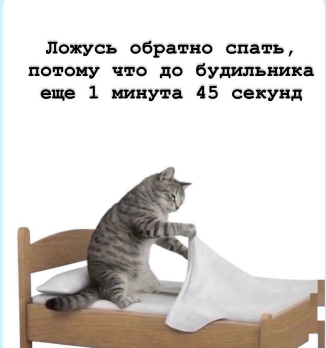 Ложусь обратно спать, потому что до будильника еще 1 минута 45 секунд