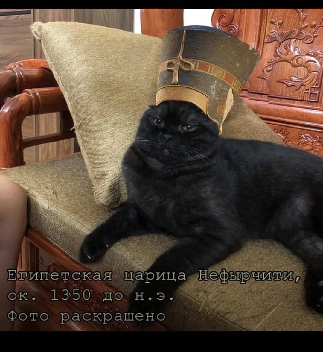 7 ‘царица, HE 1350. Фото раскрашено