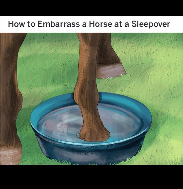 How to Embarrass a Horse at а Sleepover