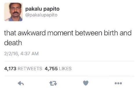 рака! papito @pakalupapito that awkward moment between birth and death 2/2/16, 4:37 4,173 RETWEETS 4,755 LIKES eve
