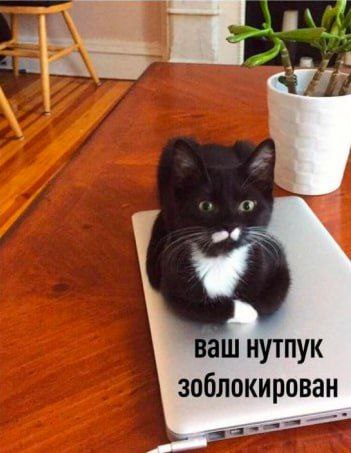 нутпук зоблокирован