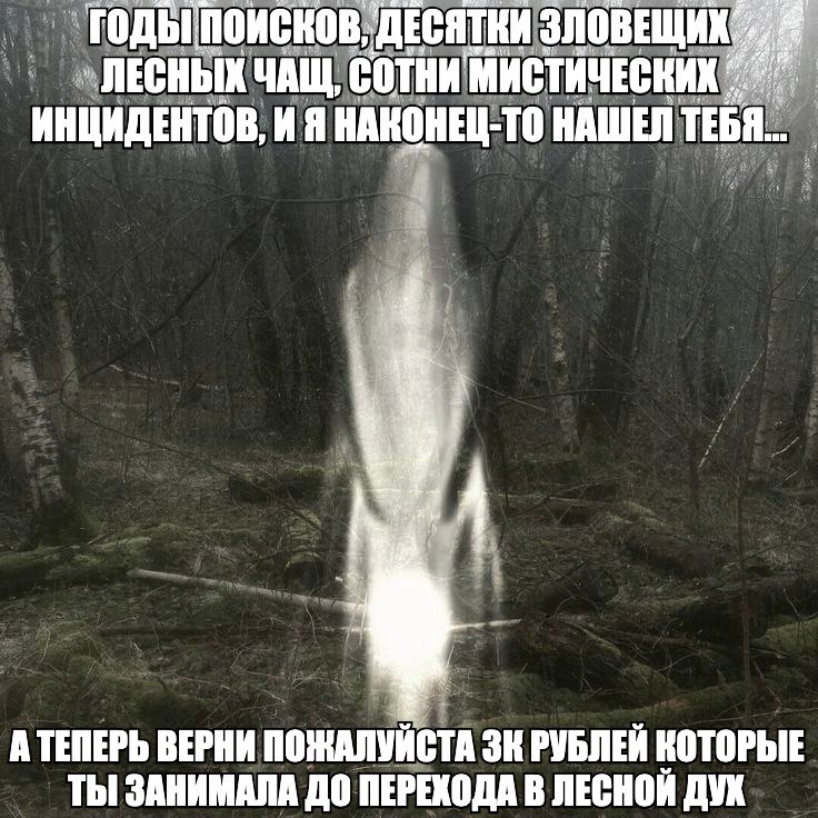 ГОДЫ ПОИСНОВ, ДЕСЯТКИ ЗЛОВЕЩИХ. a Я ЛЕСНЫХ ЧАЩ, СОТНИ МИСТИЧЕСКИХ ИНЦИДЕНТОВ, И Я НАКОНЕЦ-ТО НАШЕЛ a А ТЕПЕРЬ ВЕРНИ ПОЖАЛУЙСТА РУБЛЕЙ КОТОРЫЕ ТЫ ЗАНИМАЛА ДО ПЕРЕХОДА В ДУХ