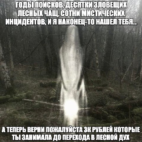 ГОДЫ ПОИСНОВ, ДЕСЯТКИ ЗЛОВЕЩИХ. a Я ЛЕСНЫХ ЧАЩ, СОТНИ МИСТИЧЕСКИХ ИНЦИДЕНТОВ, И Я НАКОНЕЦ-ТО НАШЕЛ a А ТЕПЕРЬ ВЕРНИ ПОЖАЛУЙСТА РУБЛЕЙ КОТОРЫЕ ТЫ ЗАНИМАЛА ДО ПЕРЕХОДА В ДУХ