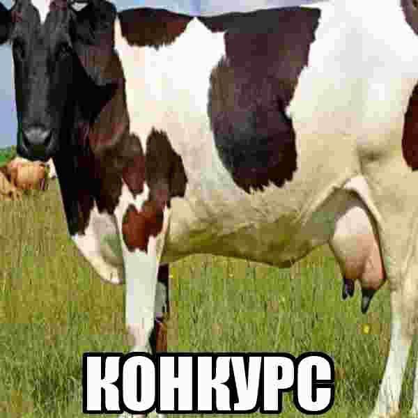 КОНКУРС