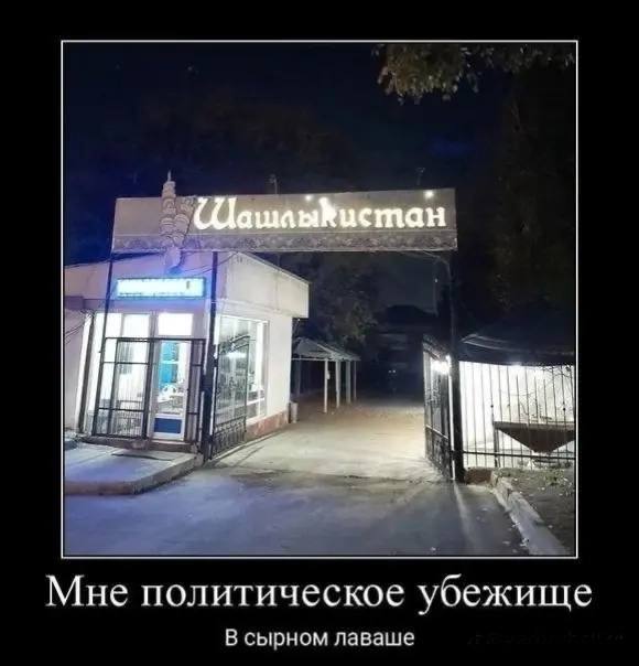 Мне политическое убежище В сырном лаваше
