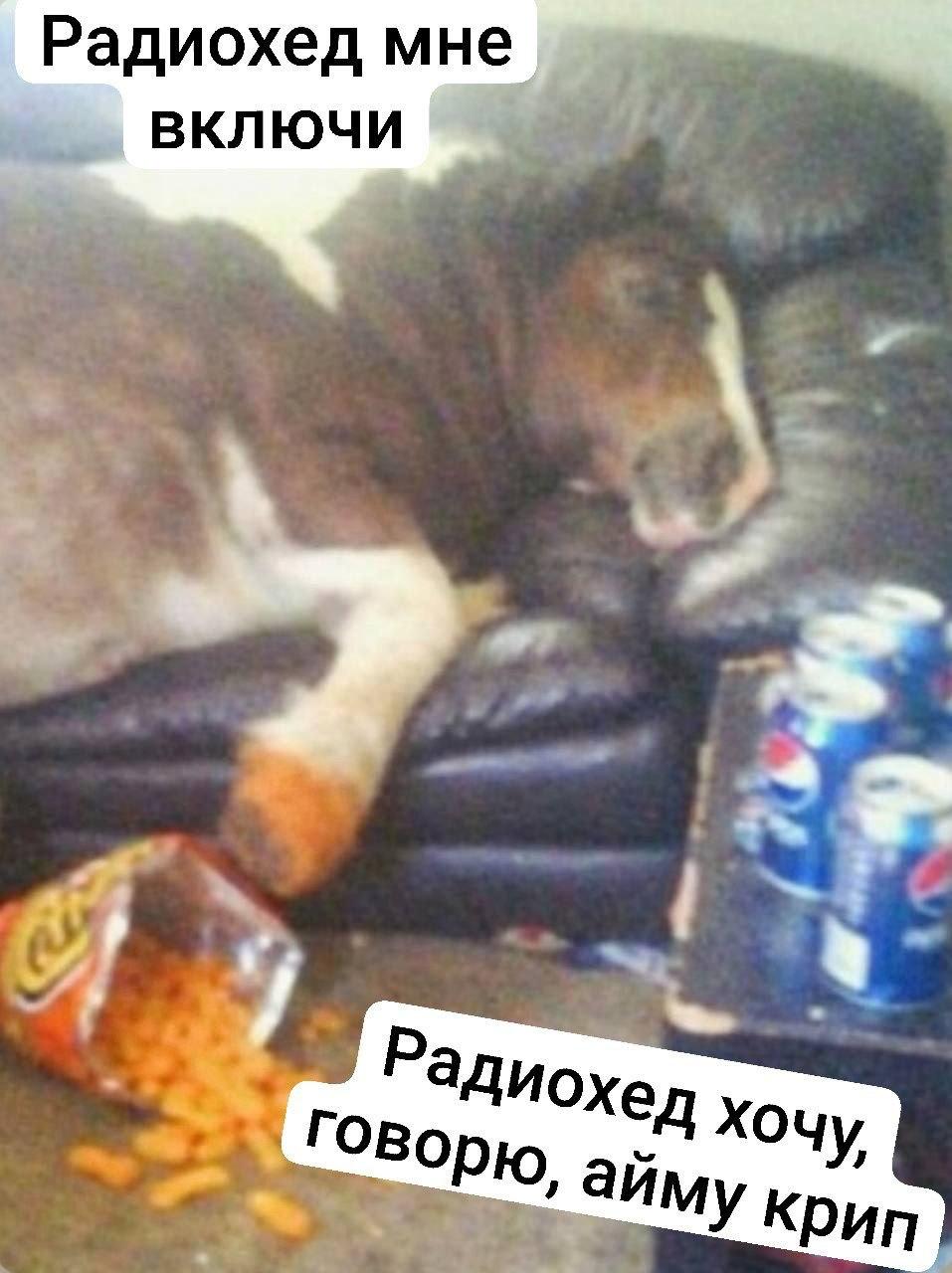 Радиохед мне ВКЛЮЧИ в хед Xoy Говорю рип