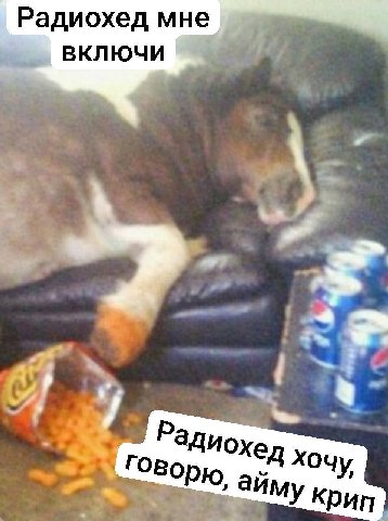 Радиохед мне ВКЛЮЧИ в хед Xoy Говорю рип