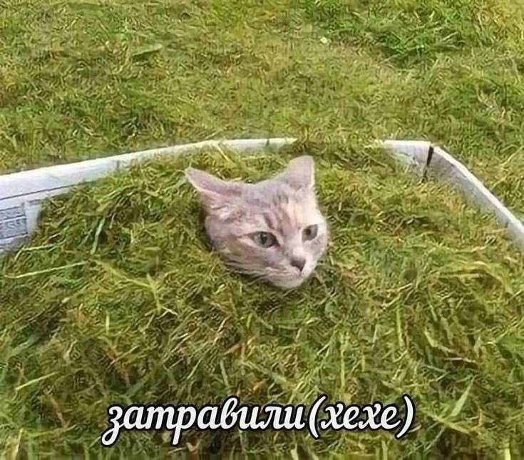 a, затравили (хехе)