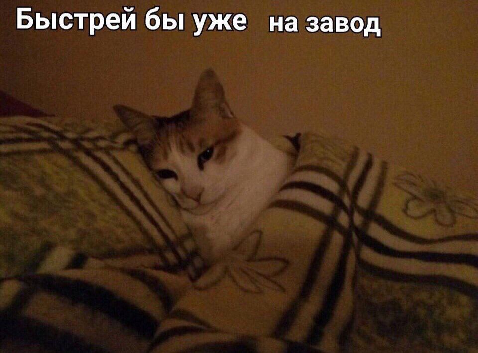 Быстрей бы уже на завод