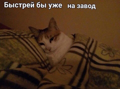 Быстрей бы уже на завод