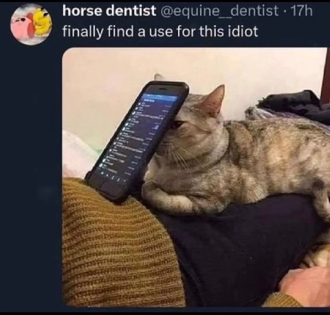 horse dentist finally find а чзе for this idiot