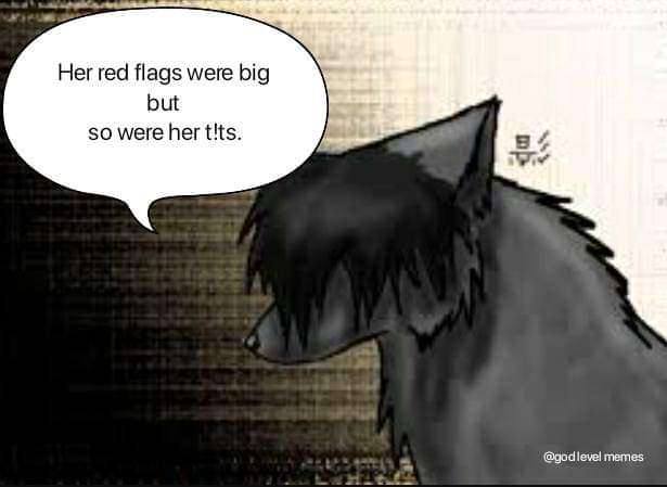 Her red flags were big but so were her memes