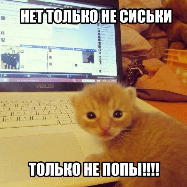 НЕСИСЬКИ HE