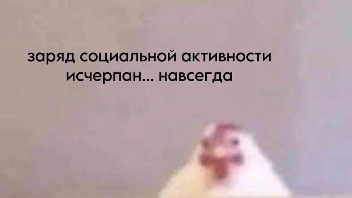 заряд социальной активности исчерпан... навсегда