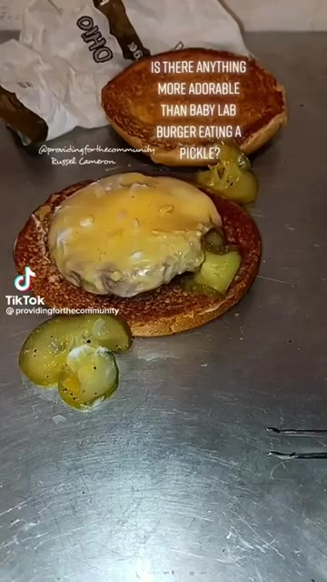 IS THERE ANYTHING BURGER EATING A