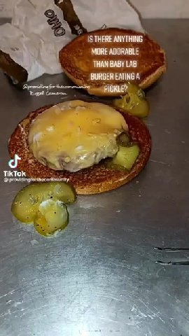 IS THERE ANYTHING BURGER EATING A