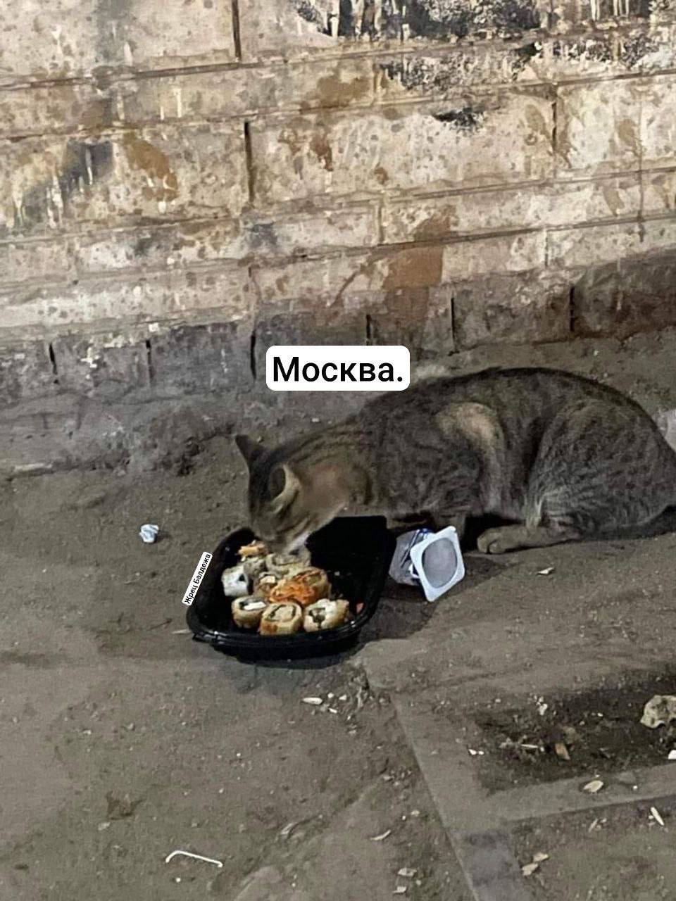 on у Москва. oom,