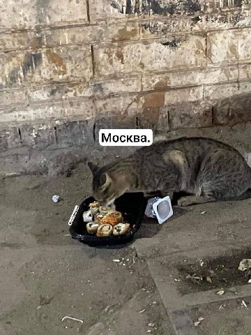 on у Москва. oom,
