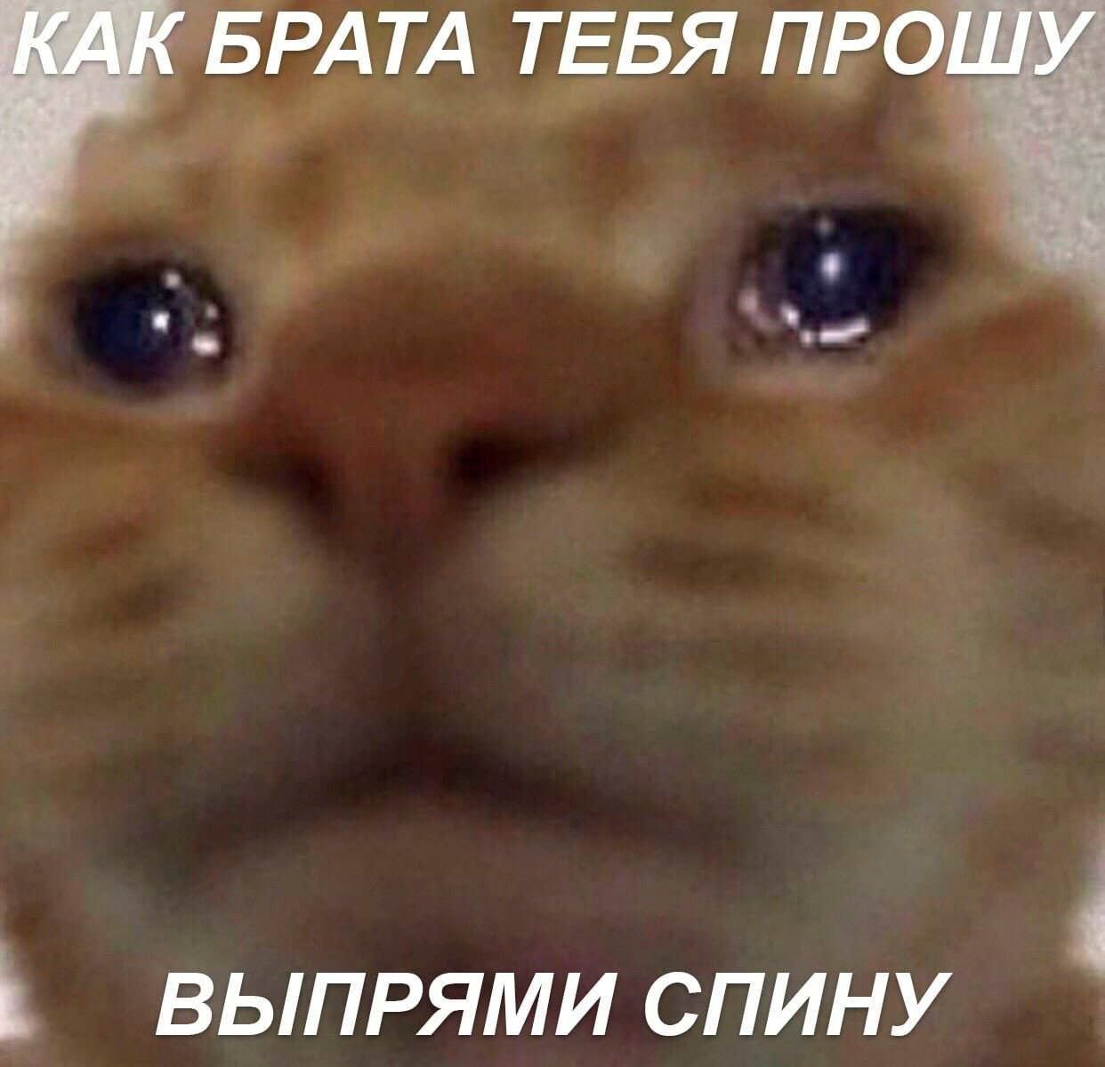 КАК БРАТА ТЕБЯ ПРОШУ ВЫПРЯМИ СПИНУ
