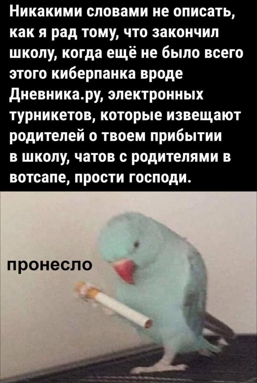 Никакими словами не описать, как я рад тому, что закончил школу, когда ещё не было всего этого киберпанка вроде Дневника.ру, электронных турникетов, которые извещают родителей о твоем прибытии в школу