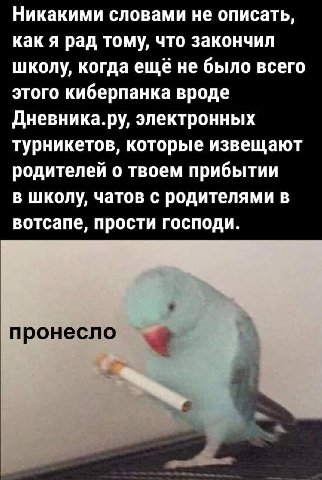 Никакими словами не описать, как я рад тому, что закончил школу, когда ещё не было всего этого киберпанка вроде Дневника.ру, электронных турникетов, которые извещают родителей о твоем прибытии в школу