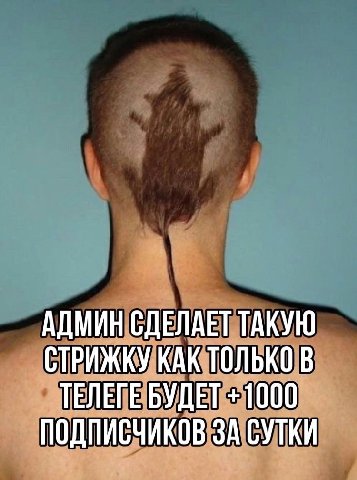 АДМИН СДЕЛАЕТ ТАКУЮ СТРИЖКУ КАК ТОЛЬКО В ТЕЛЕГЕ БУДЕТ +1000 ПОДПИСЧИКОВ ЗА СУТКИ