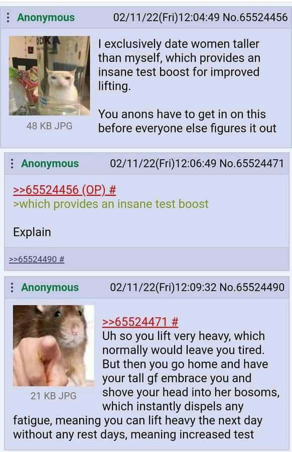 Anonymous 02/11/22(Fri)12:04:49 No.65524456 exclusively date women taller than myself, which provides an insane test boost for improved lifting. You anons have to get in on this 48 в JPG before everyo
