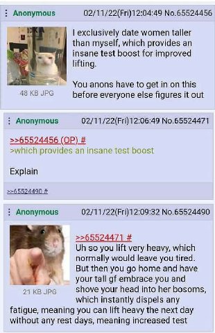 Anonymous 02/11/22(Fri)12:04:49 No.65524456 exclusively date women taller than myself, which provides an insane test boost for improved lifting. You anons have to get in on this 48 в JPG before everyo