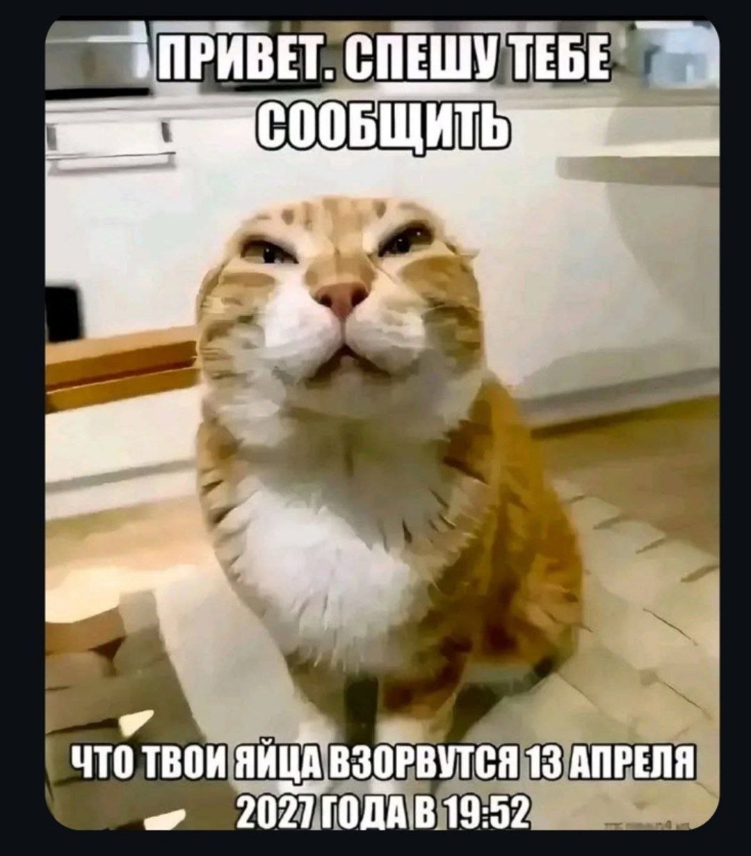 СПЕШУ ТЕБЕ i ТВОИ ЯЙЦА ВЗОРВУТСЯ 13 АПРЕЛЯ