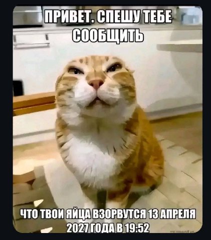 СПЕШУ ТЕБЕ i ТВОИ ЯЙЦА ВЗОРВУТСЯ 13 АПРЕЛЯ