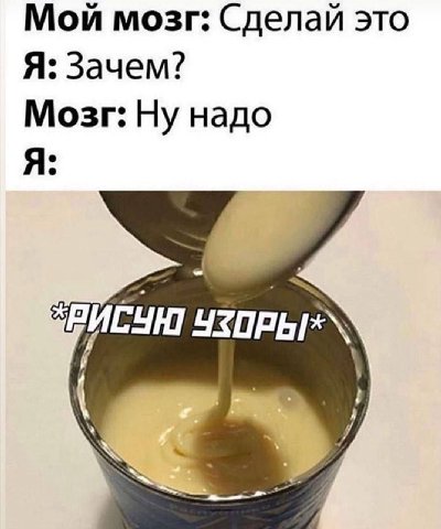 Мой мозг: Сделай это Я: Зачем? Мозг: Ну надо Я: