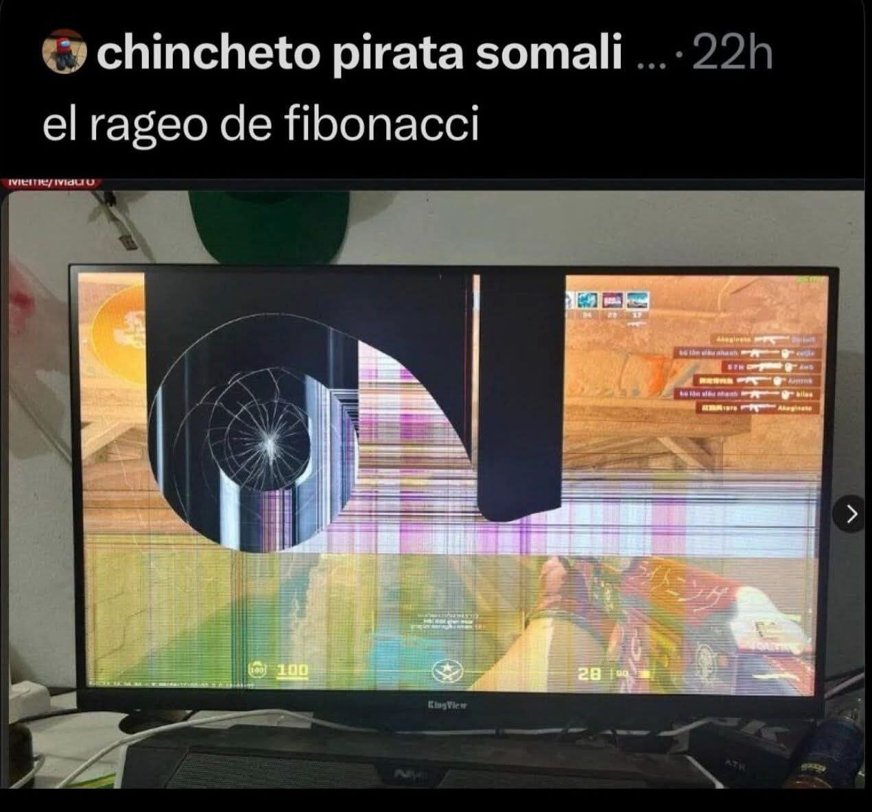 chincheto pirata somali rageo ПБопасс! 100