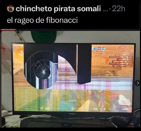 chincheto pirata somali rageo ПБопасс! 100