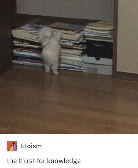 titoism the thirst for knowledge